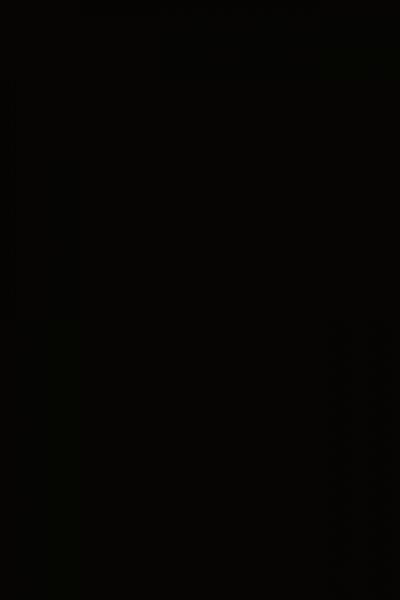 The black