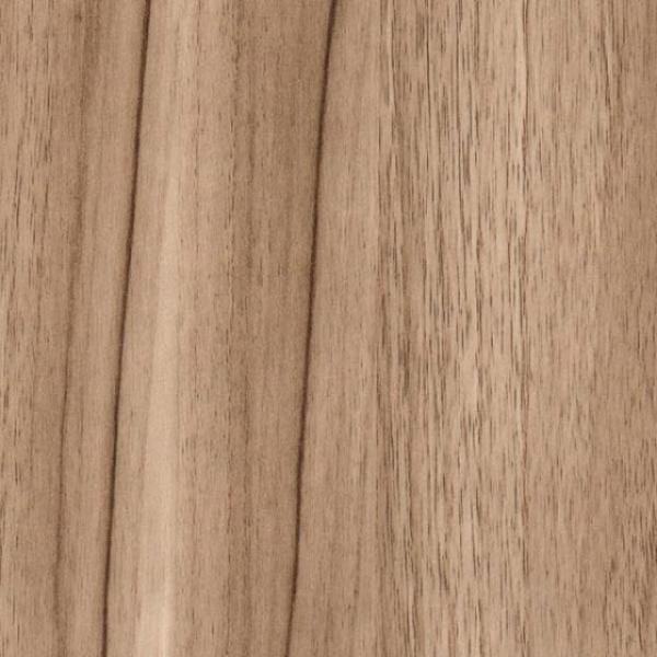 Chestnut Light
